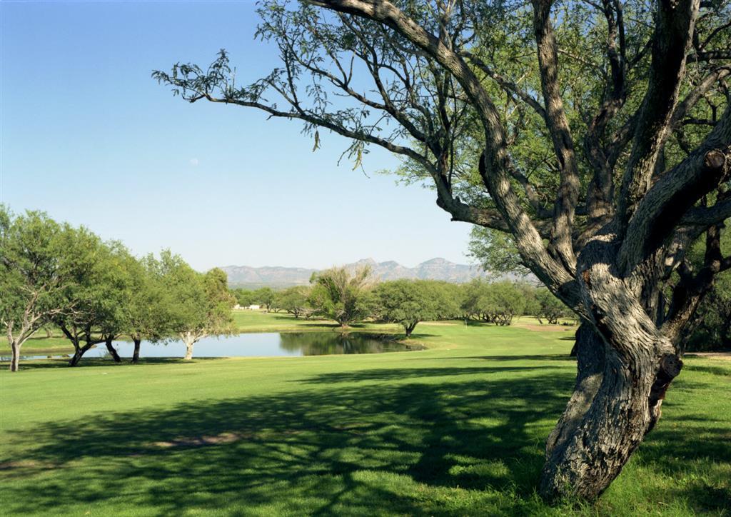 Esplendor Resort At Rio Rico Fasiliteter bilde